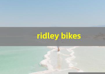 ridley bikes